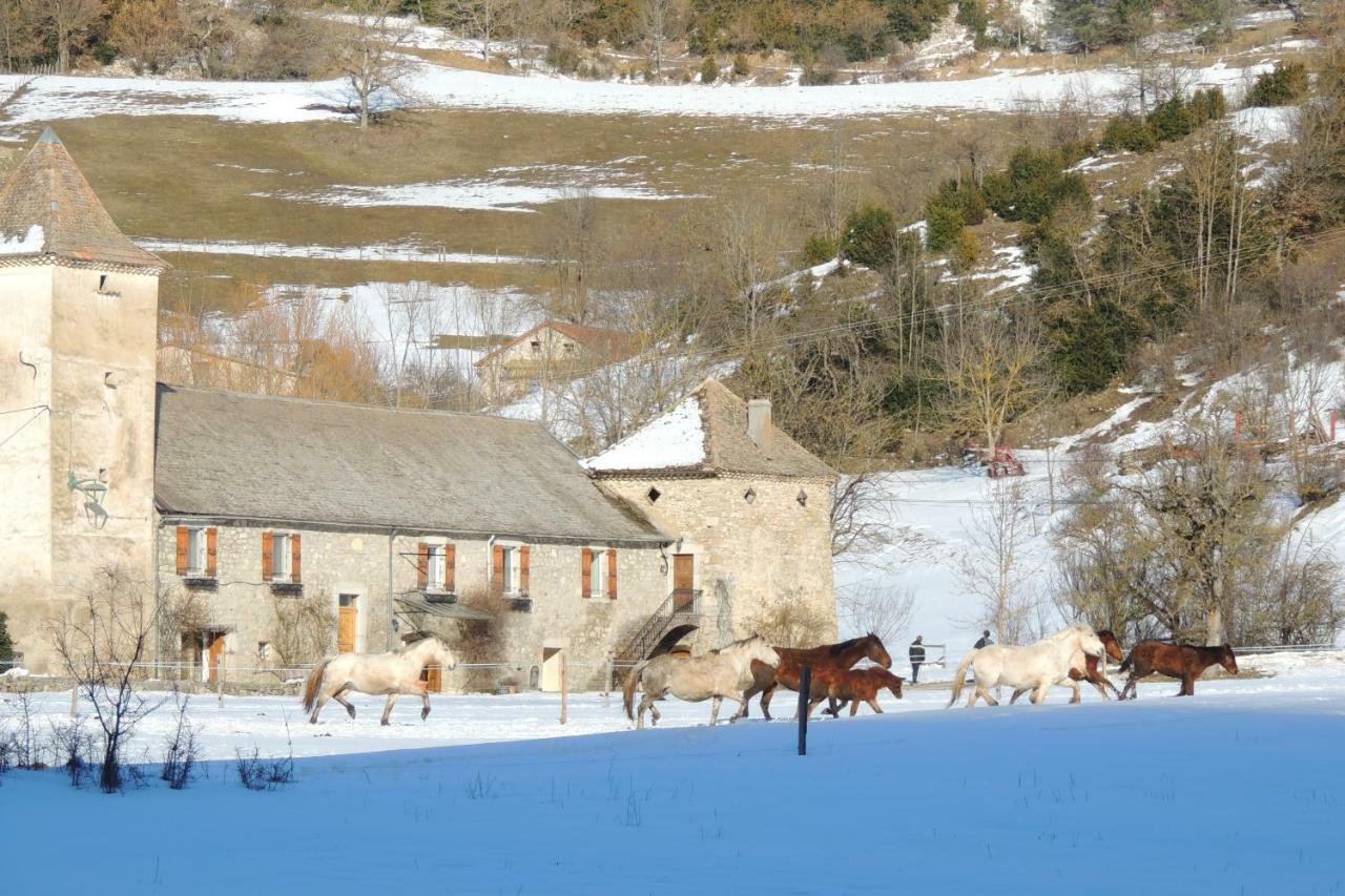 Le Colombier Bed & Breakfast Glandage Exterior photo